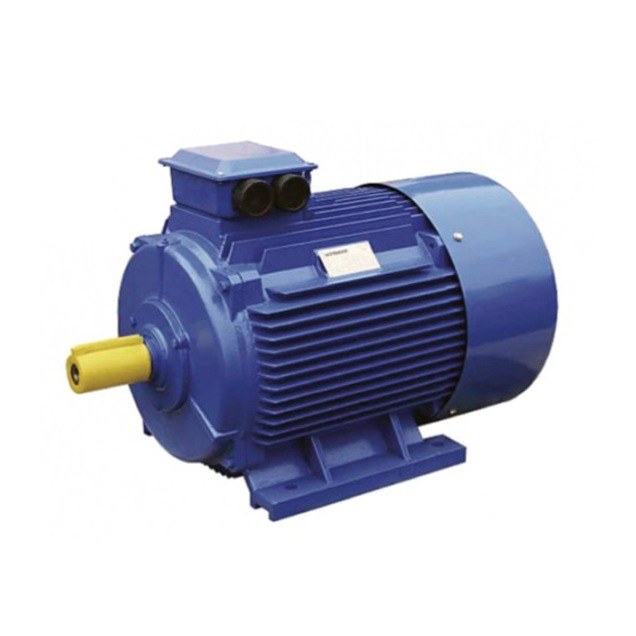 Электродвигатель VILMANN Z 132S-6 3 кВт 1000 об/мин Электродвигатель VILMANN Z 132S-6 3 кВт 1000 об/мин